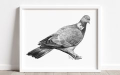 15 The Best Pigeon Wall Art